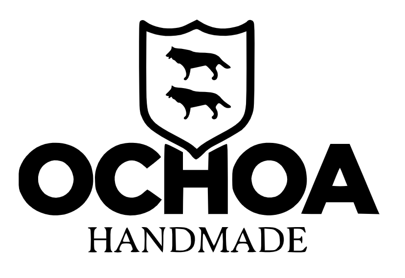 ochoa logo